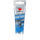 Герметик Pastum H20 25гр (вода)