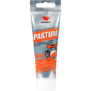 Паста Pastum gas 60гр (газ)